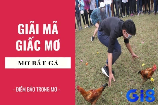 Bắt được gà đánh con gì? Gi8 bật mí số đẹp cho đề thủ