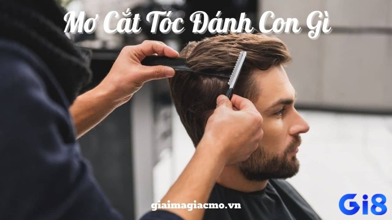 Mơ cắt tóc nam có thể tượng trưng cho sự thay đổi và sẵn sàng chấp nhận trải nghiệm mới