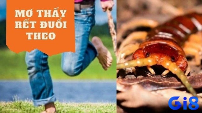 Đánh cặp đề 27, 50 trúng lớn khi chiêm bao thấy bị rết nhỏ đuổi