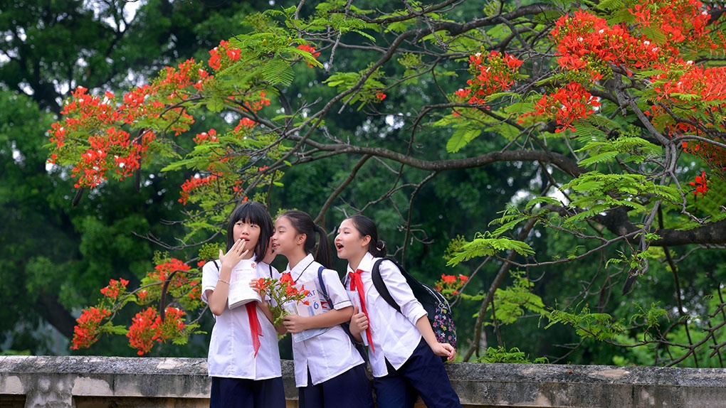 Nằm mơ thấy đi học đánh số mấy: Ý nghĩa và điềm báo giấc mơ